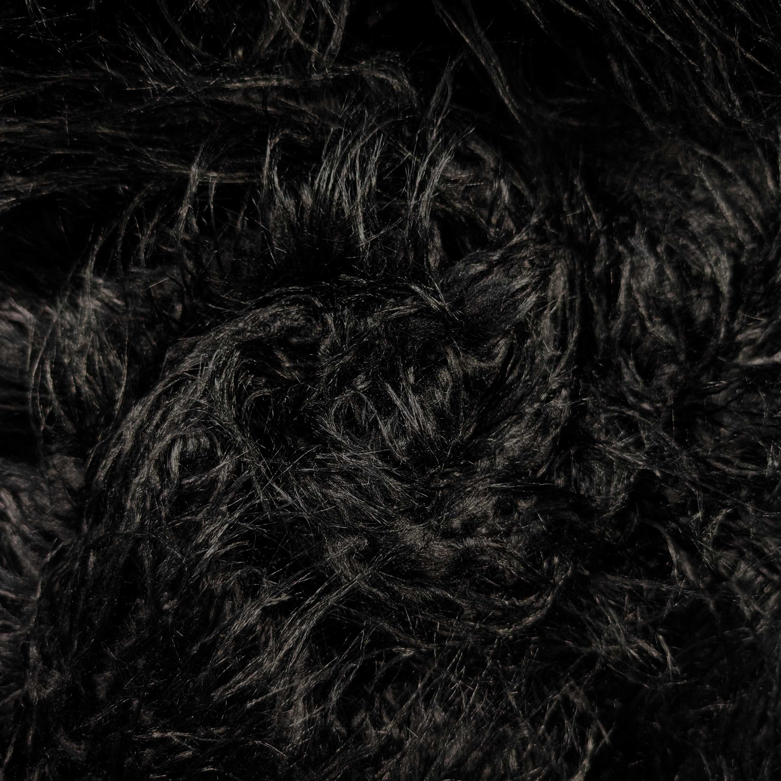 Pelliccia Pelo Lungo Nero Mongolia Image
