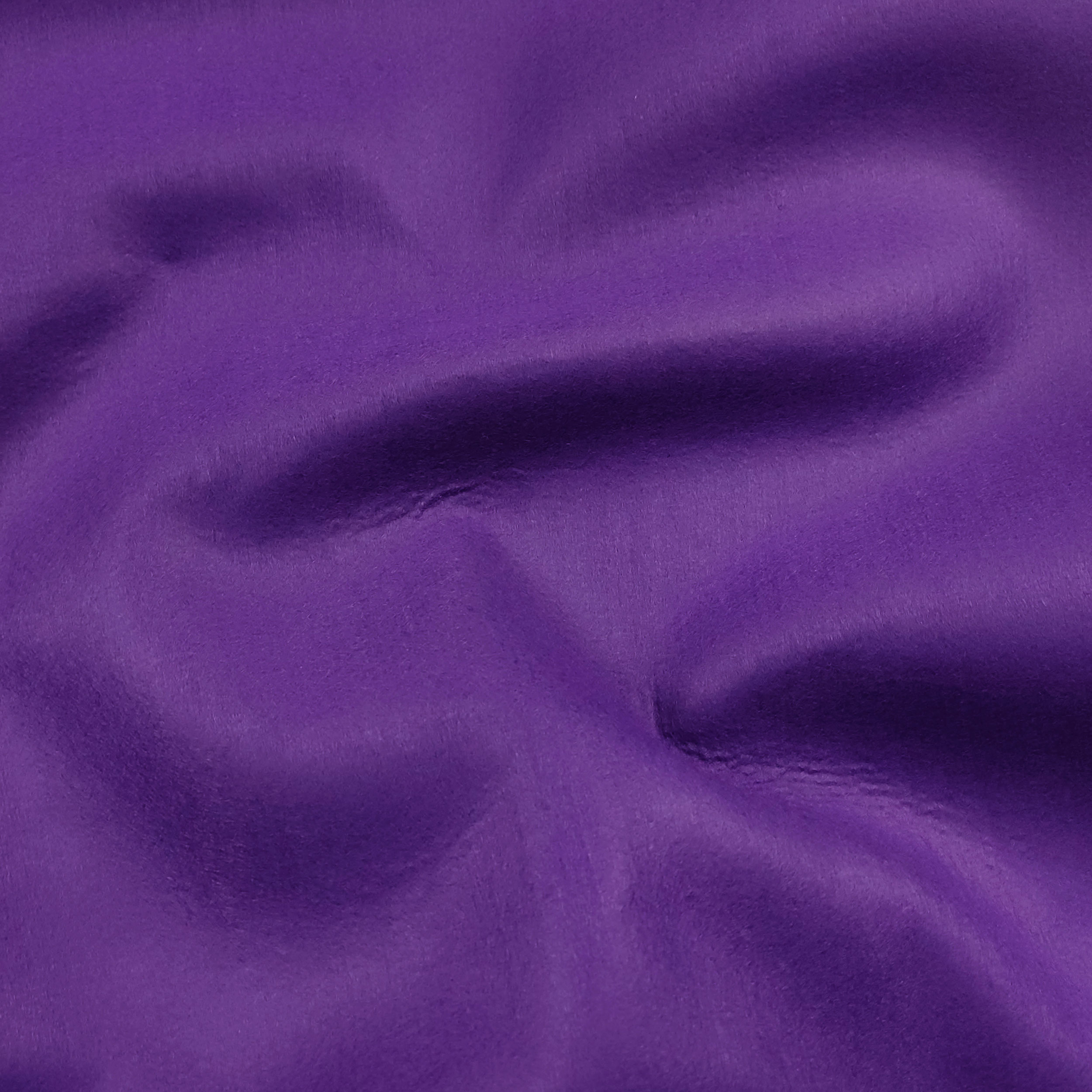 Feltro Image