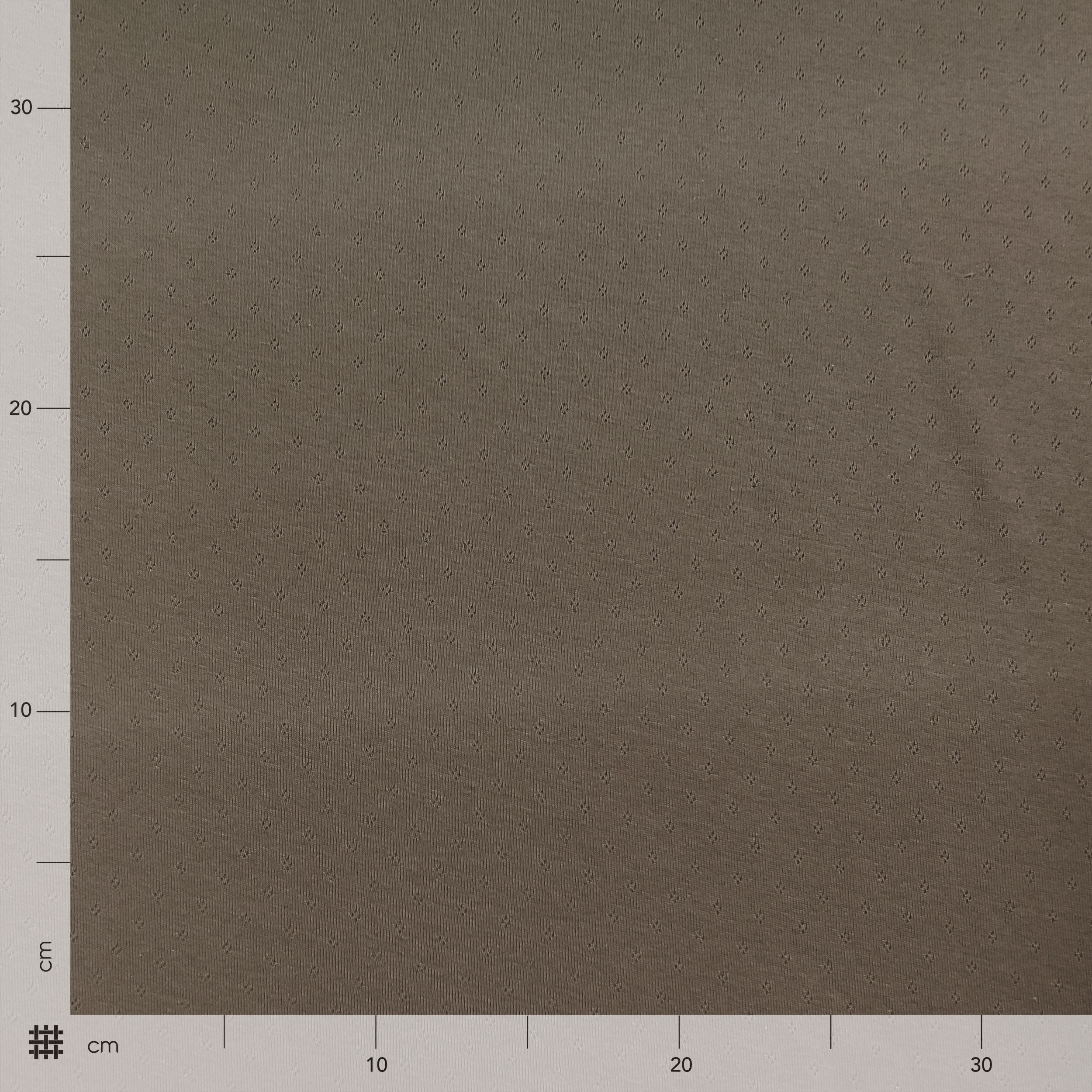 Jersey Cotone Fiori Traforati su Sfondo Beige Scuro