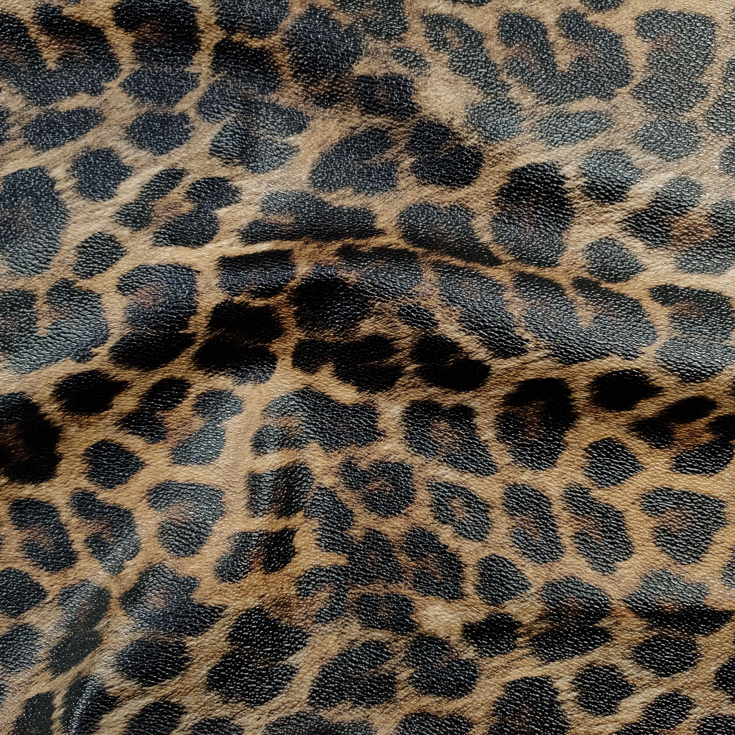 Finta Pelle Leopardata Image