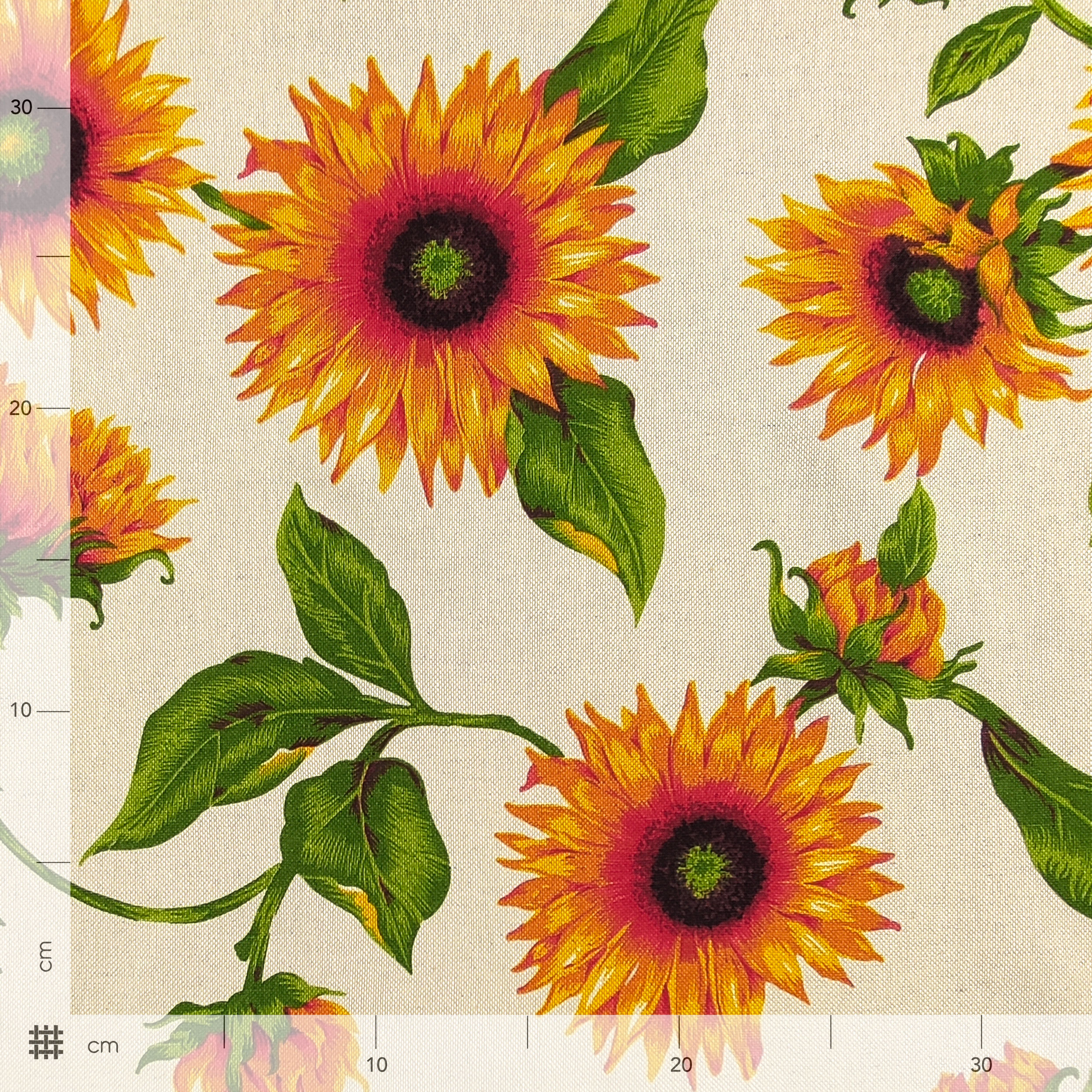 Panama Girasoli Sfondo Beige