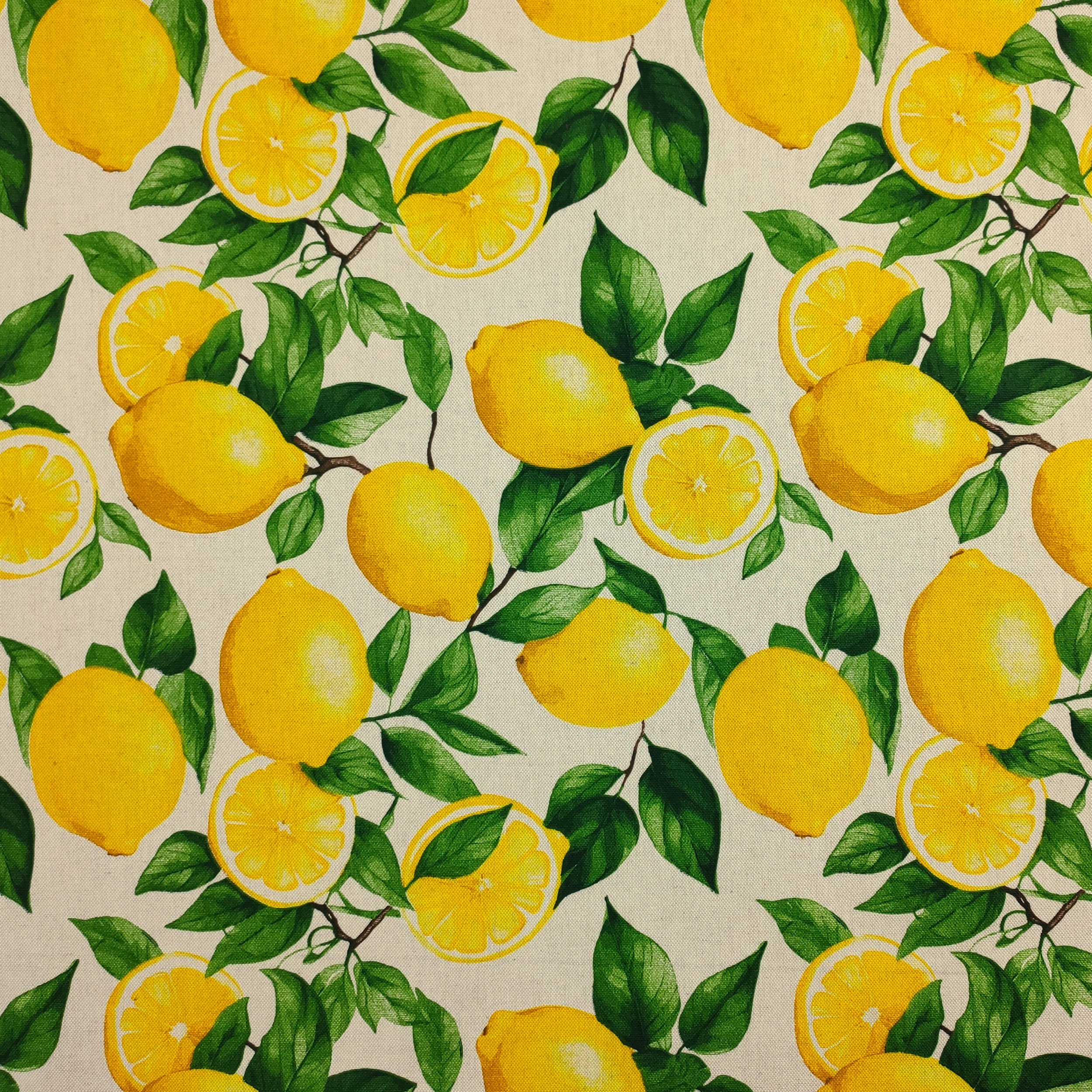 Panama Limoni Sfondo Beige