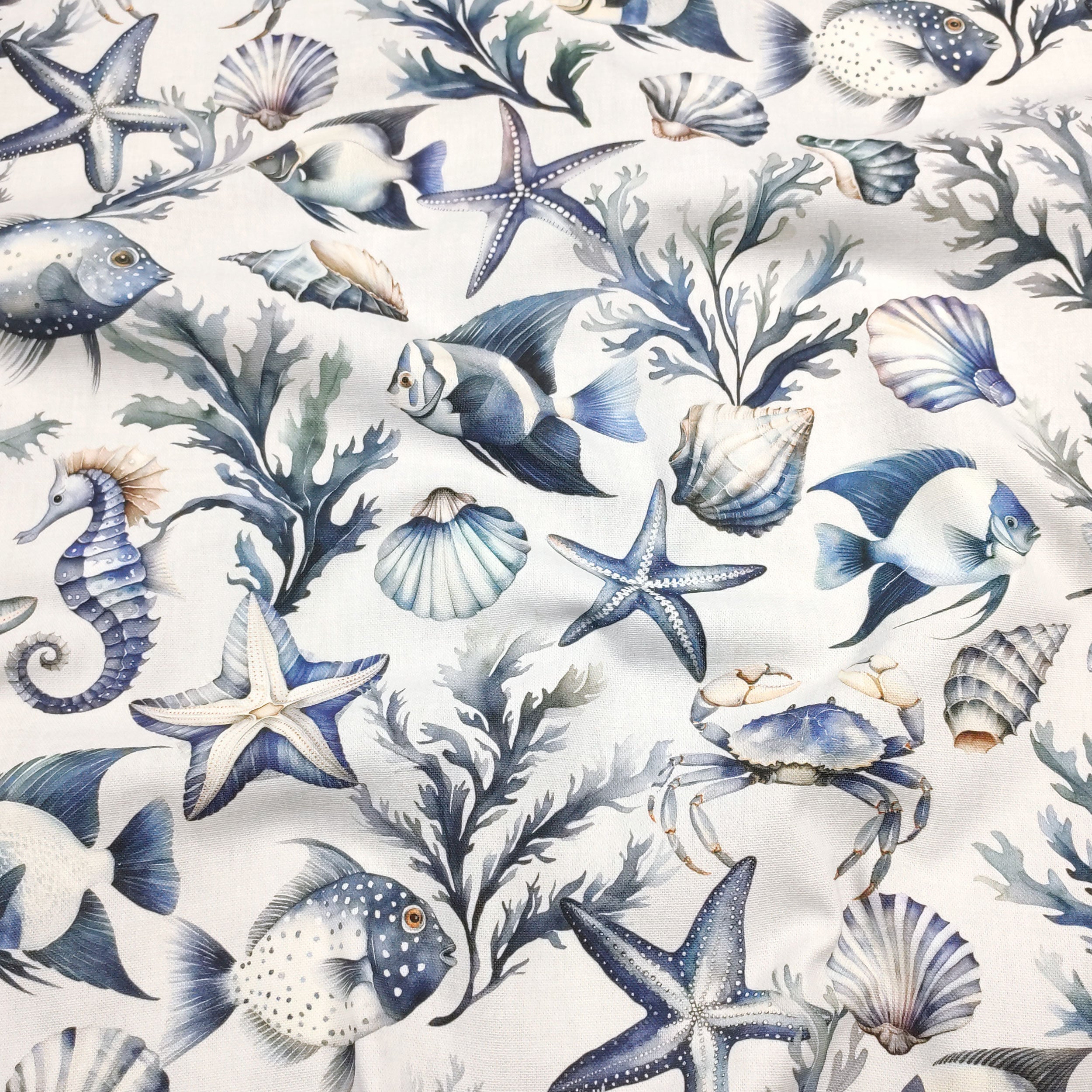 Panama Conchiglie Stelle Marine e Pesci - Main Image