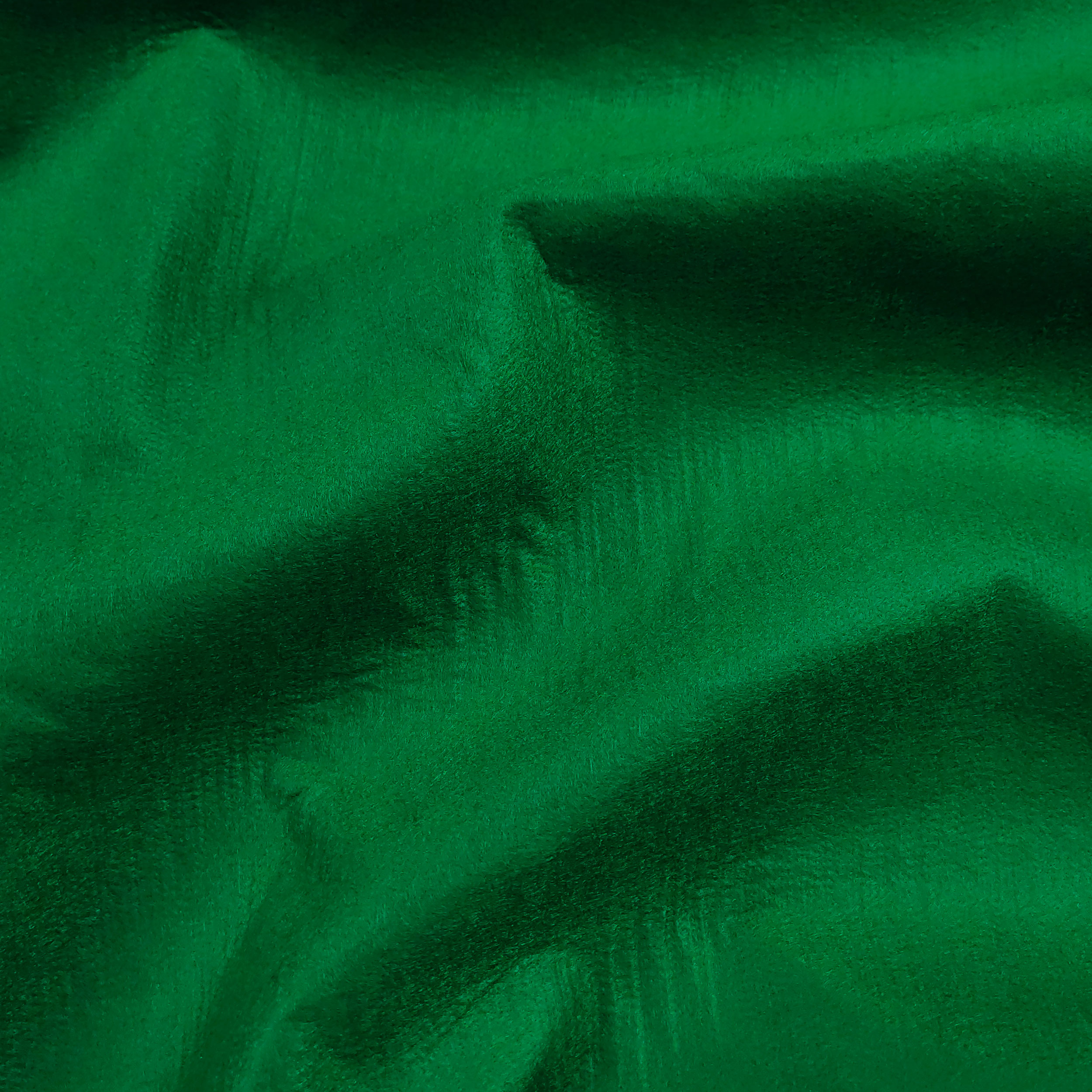 Feltro Image