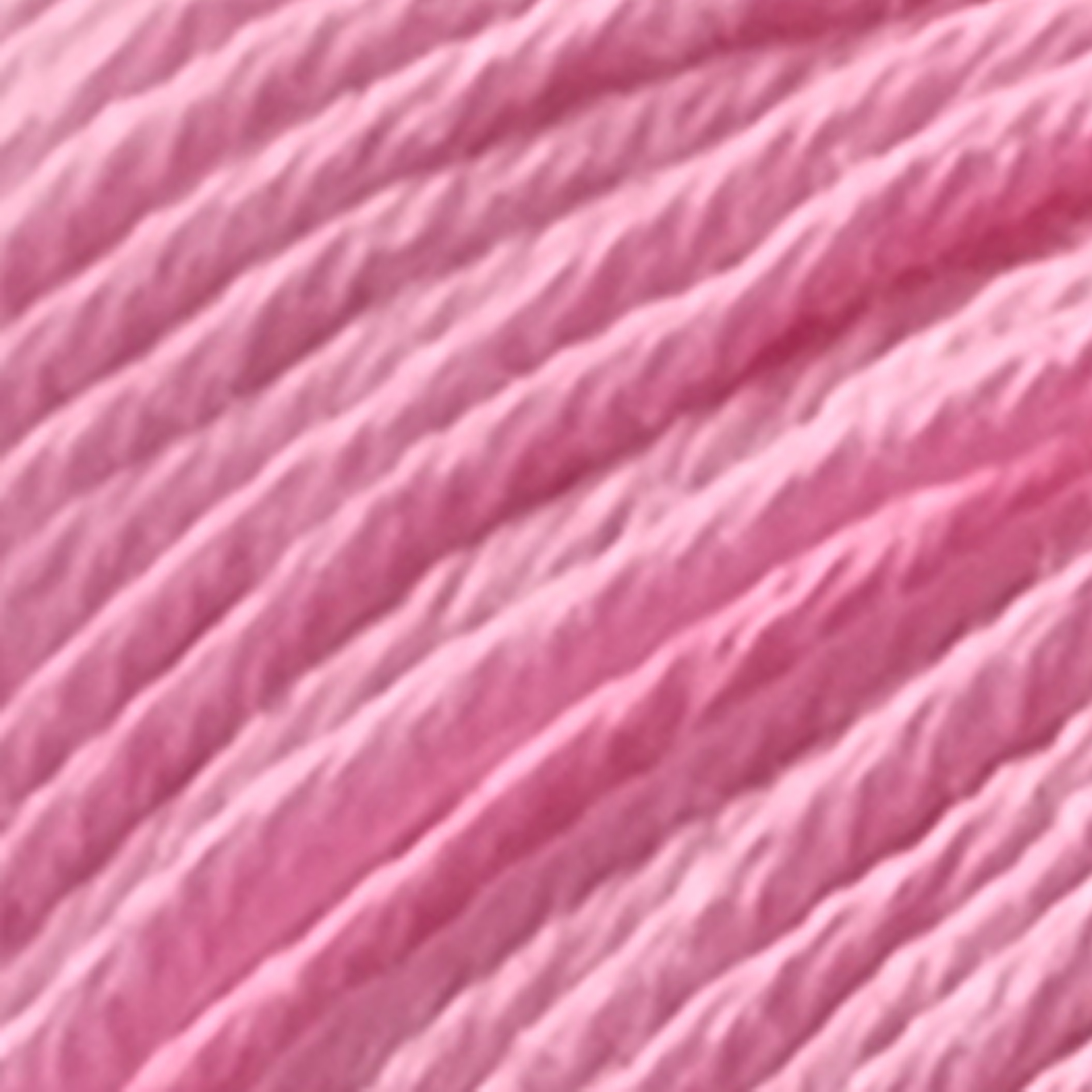 Rosa - 4