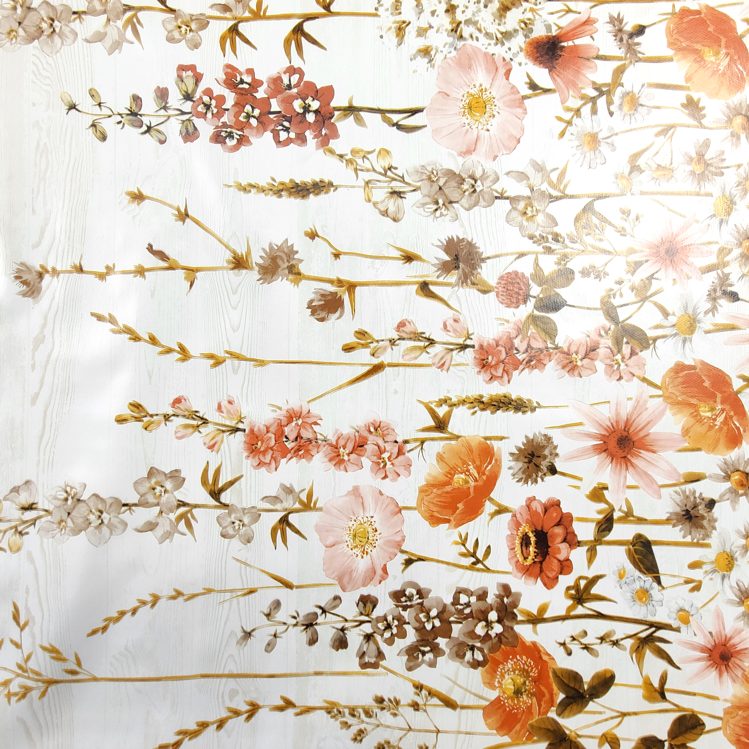 Tessuto per Tovaglia Plastificata Fiori Arancio Image