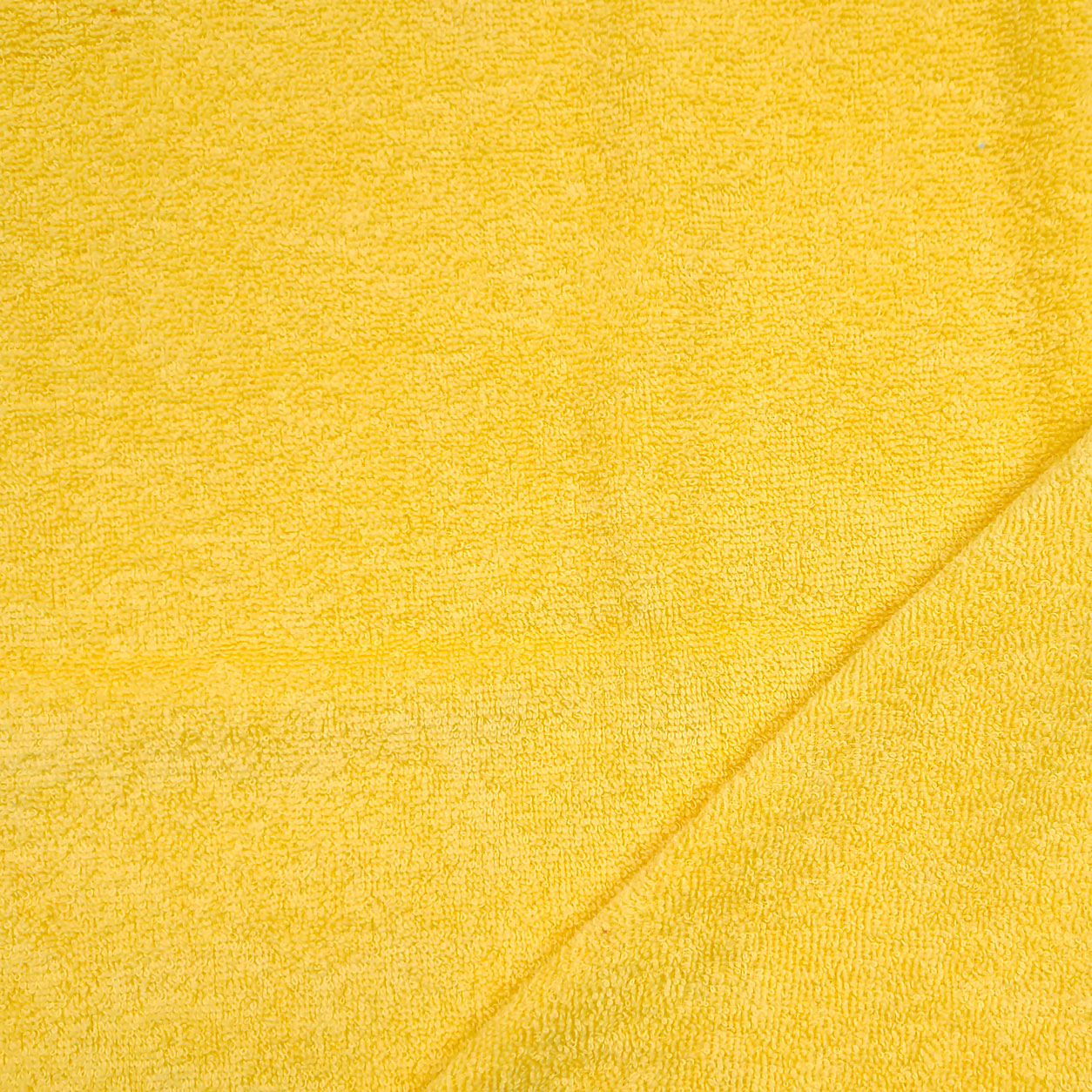 Tessuto Spugna  Image