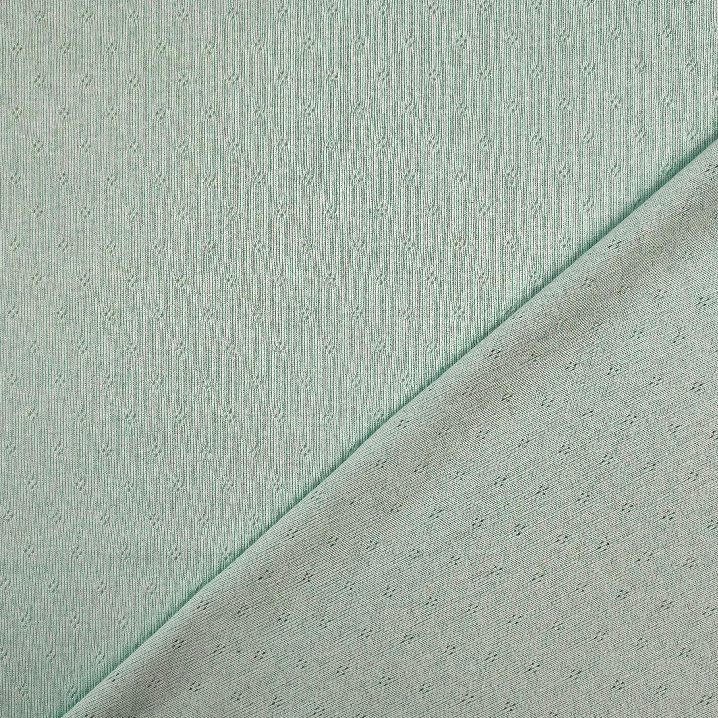 Jersey Cotone Fiori Traforati su Sfondo Menta