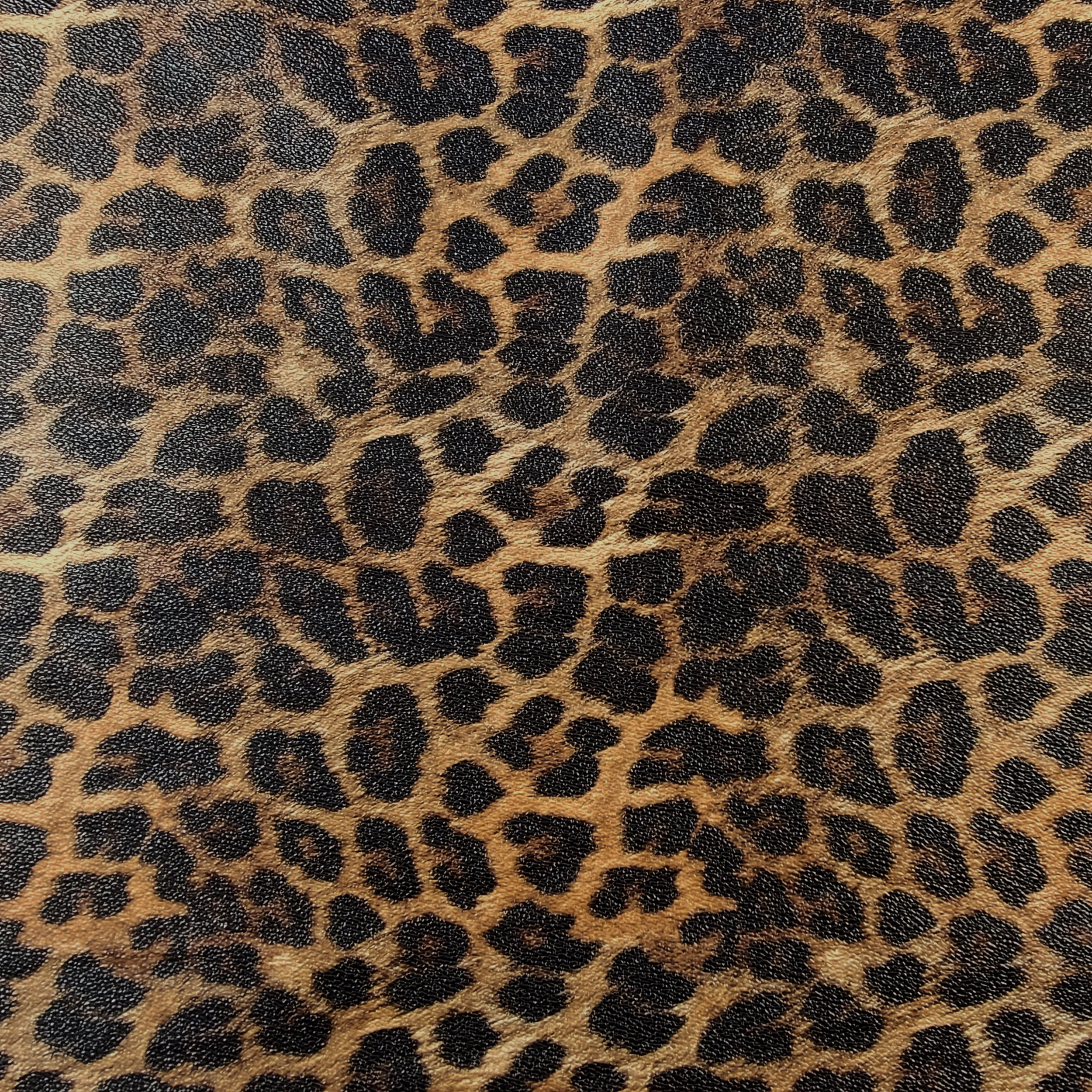 Finta Pelle Leopardata Image