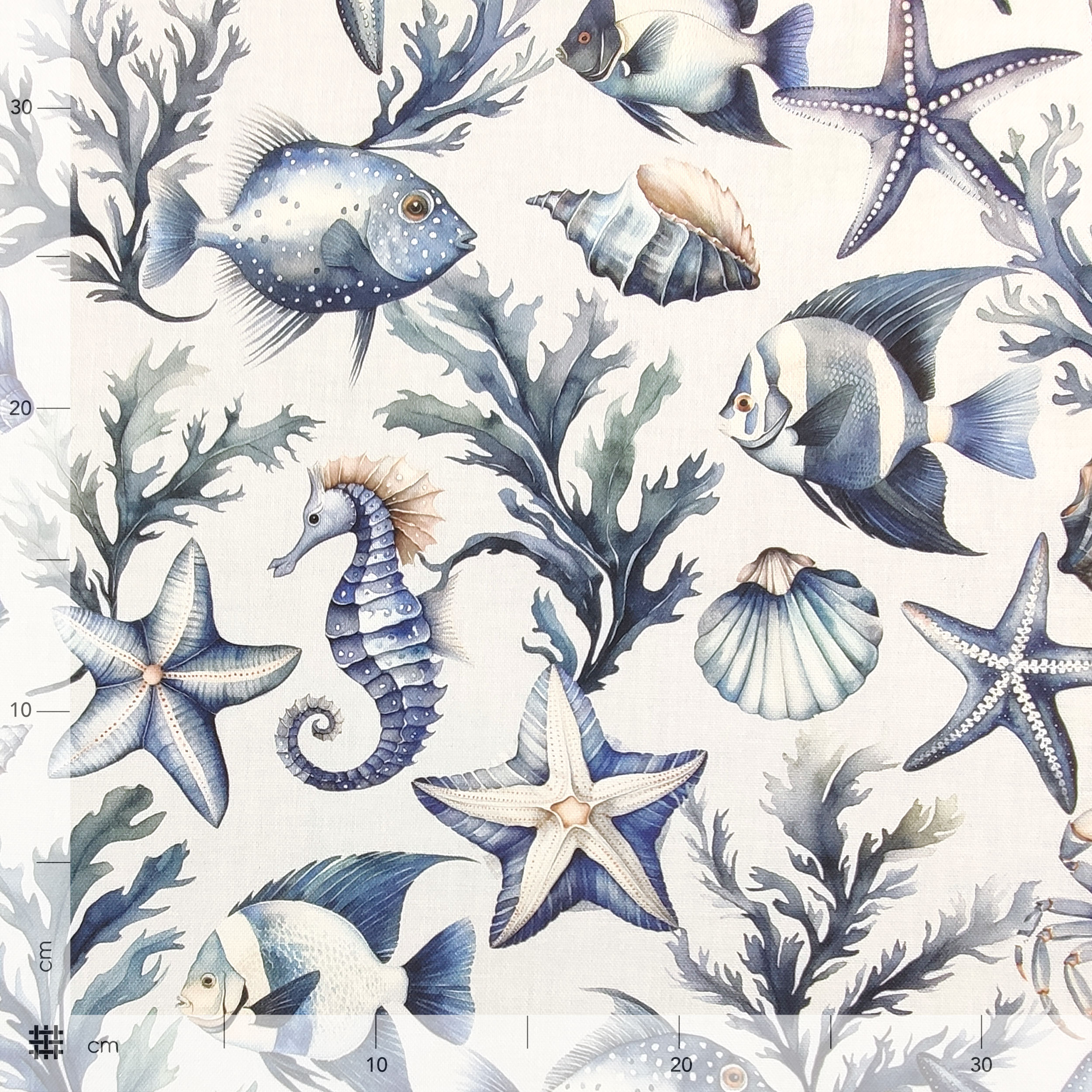 Panama Conchiglie Stelle Marine e Pesci