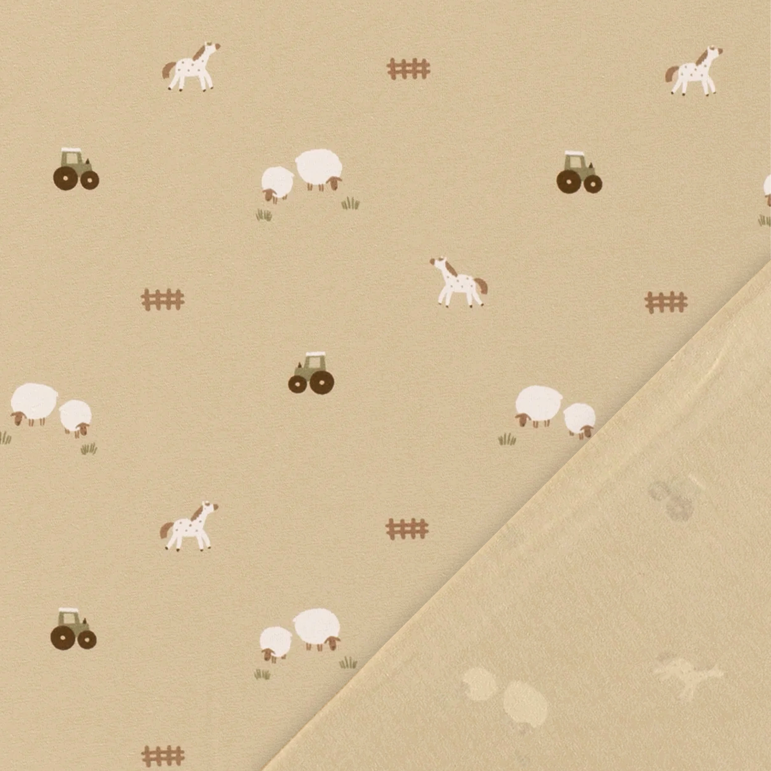 Maglina Cotone Fattoria Sfondo Beige Image