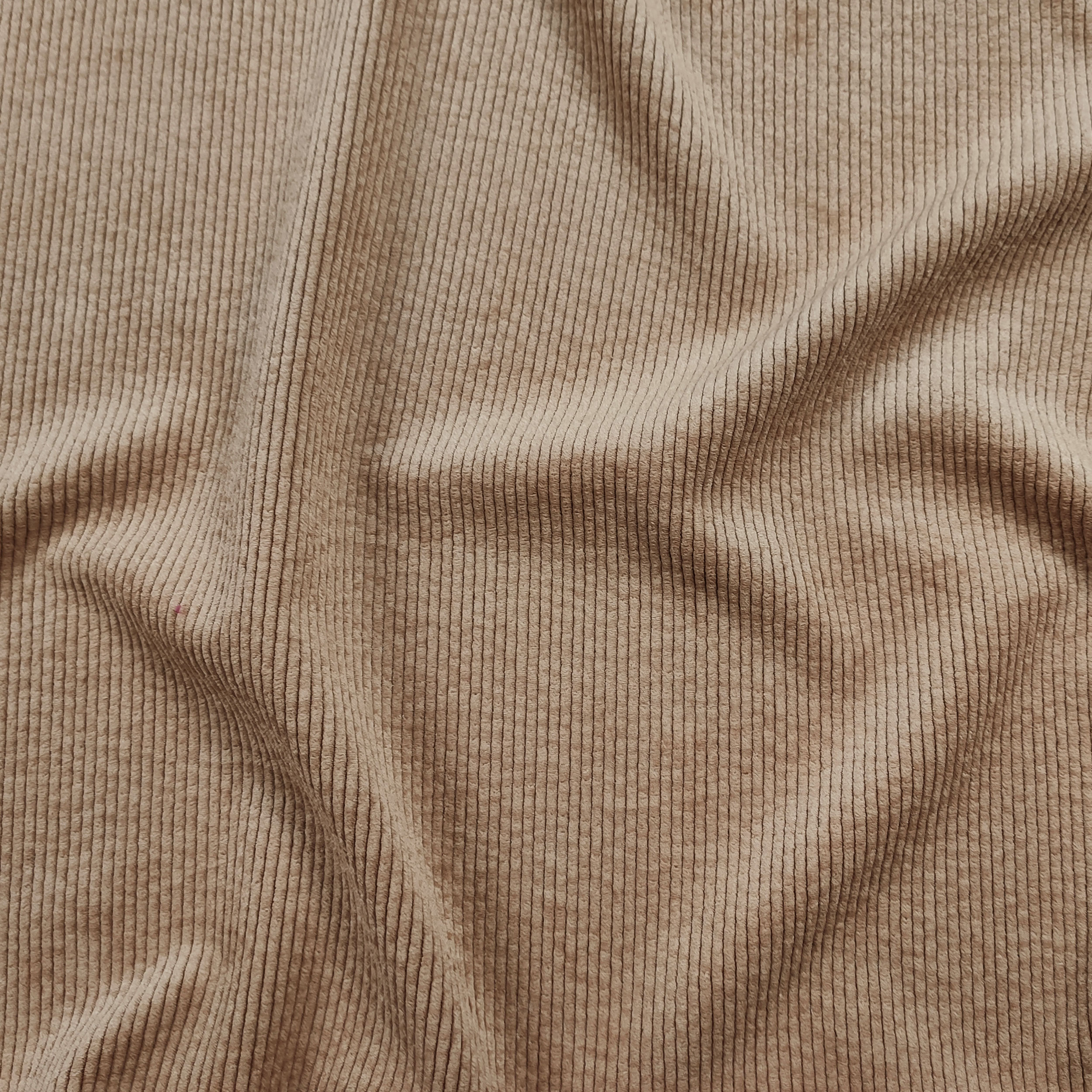 Cammello